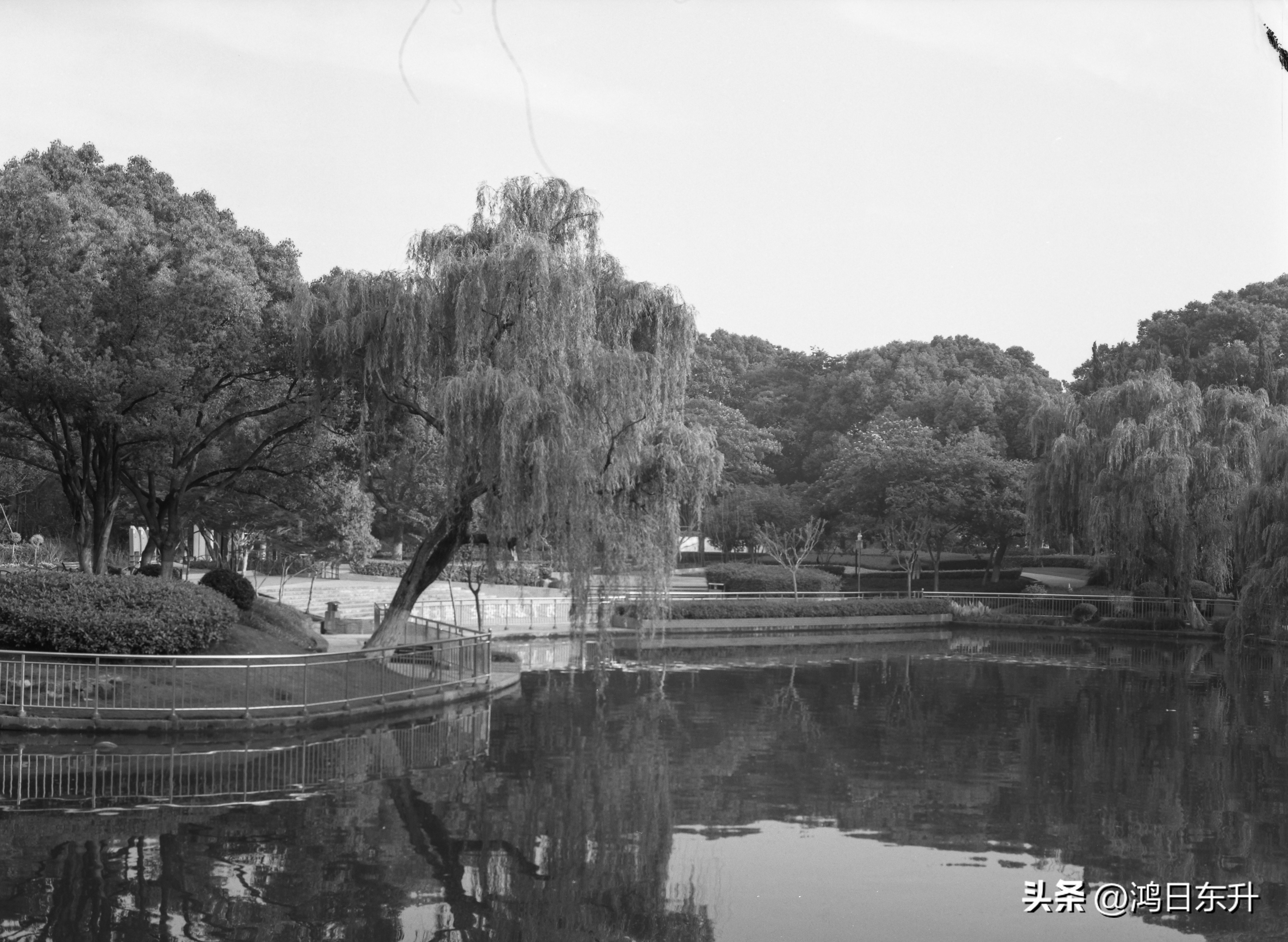 宾得645Nii老胶片相机值得拥有