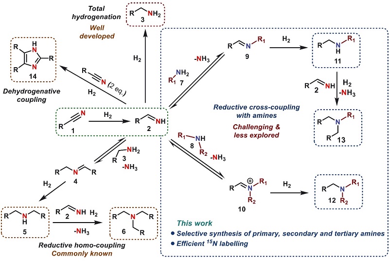 有Ni才行：Science报道合成复杂胺的通用策略