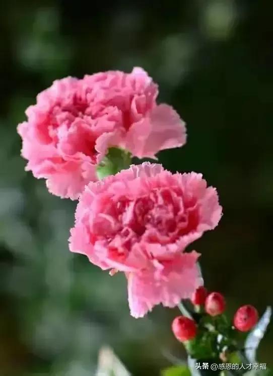 造名师，不如多多培养良师！