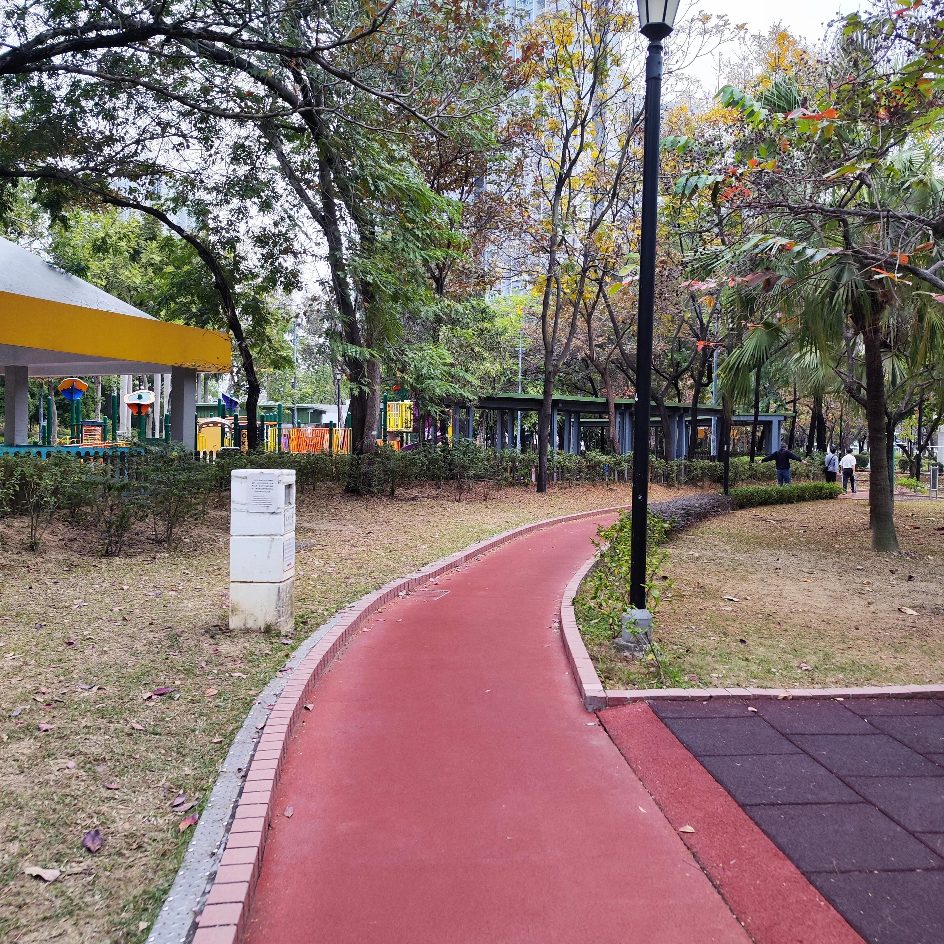 在香港居住了三个月,我的膝关节痛竟然好了。