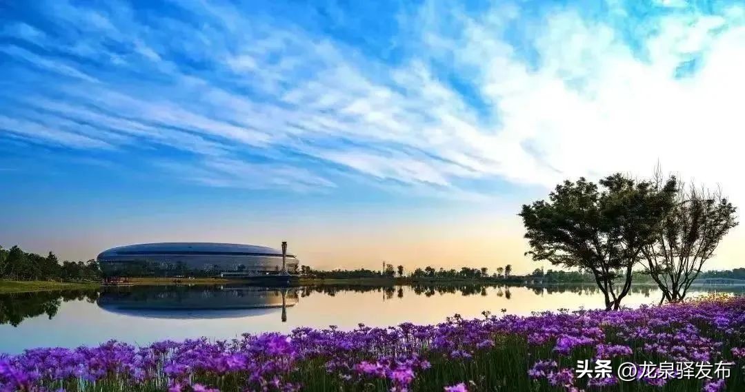 大运会探索成都的魅力之旅,龙泉驿大运会开幕