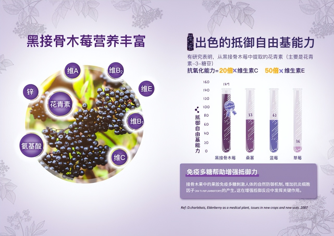免疫力是身体最好的保护，Sambucol善倍康时刻守护免疫健康