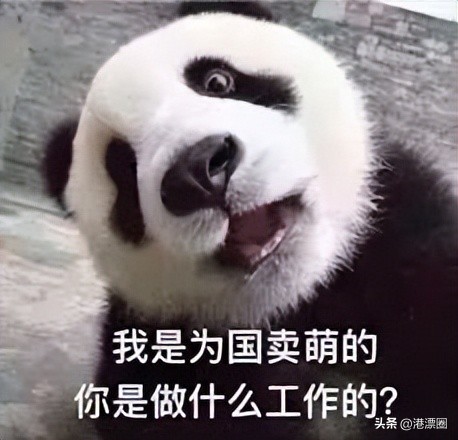 来香港一定要做这5件事,在香港待超过7天罚款