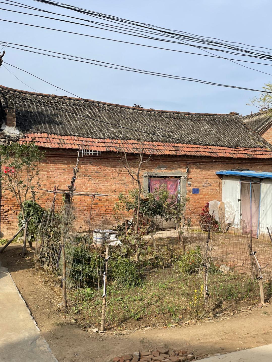 董董骑行山东,懂懂骑山东