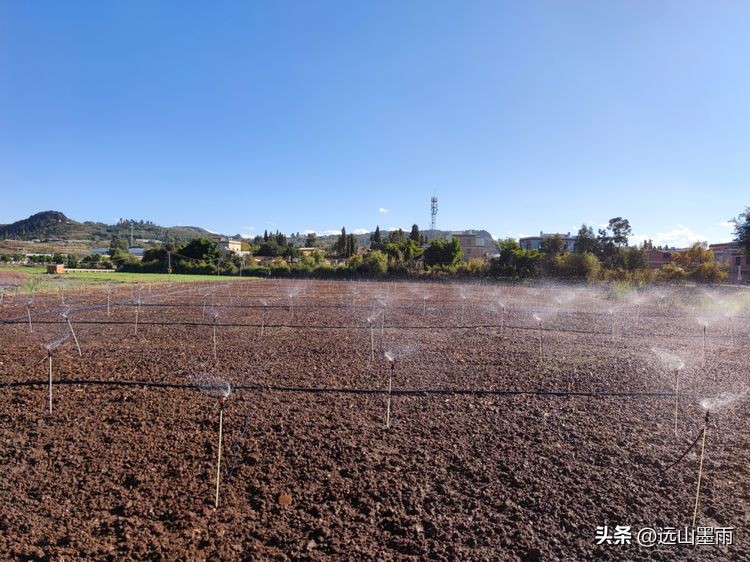 云南昆明滇池小渔村展新颜,滇池边的小渔村