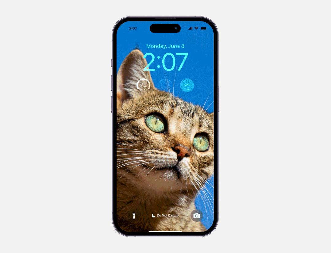 为宠物而设计,极简宠物产品