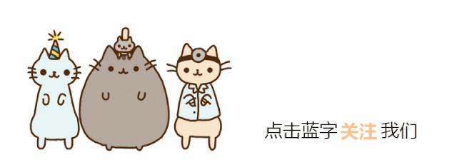 如何给不听话的猫咪剪指甲,可以用普通指甲剪给猫咪剪指甲吗