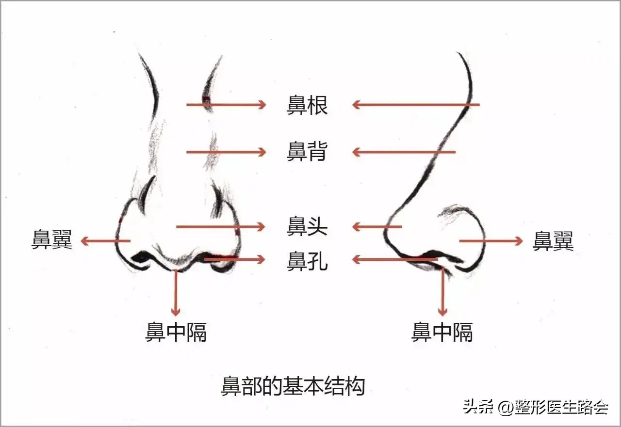 整形科普隆鼻应关注的几个问题,隆鼻为什么那么多人修复