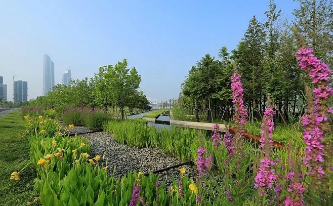 12月南京有哪些免费景点,南京市民免费旅游景点