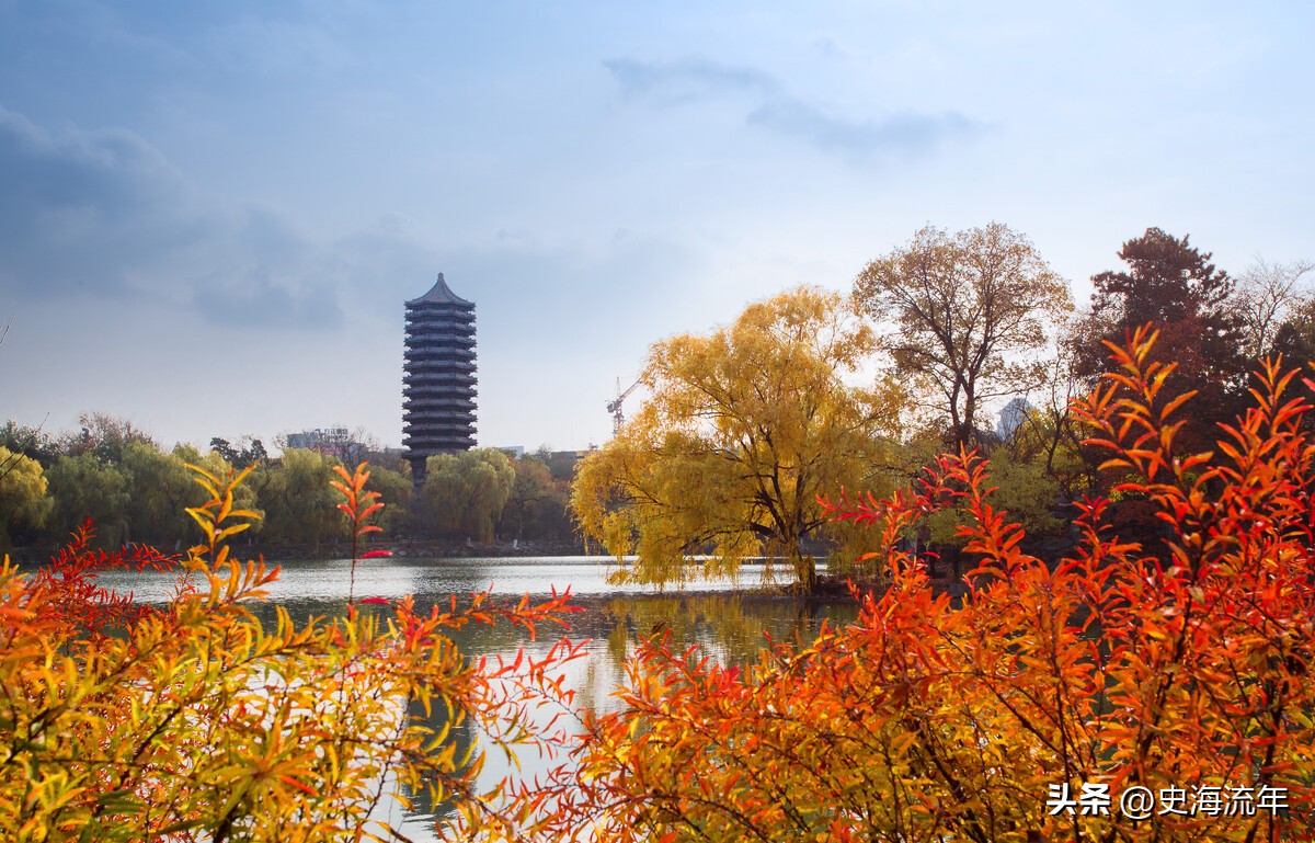 北京大学强基计划自荐信范文,强基计划考生自我陈述范文