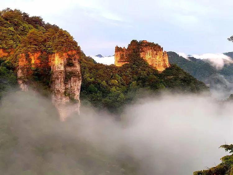 碧峰峡自然遗产大熊猫栖息地,世界自然遗产中国大熊猫栖息地
