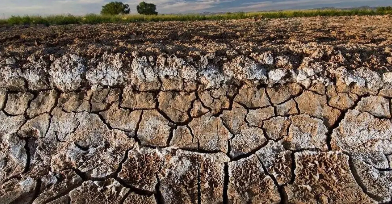 戈壁为什么禁种硒砂瓜,宁夏硒砂西瓜不让种植了吗