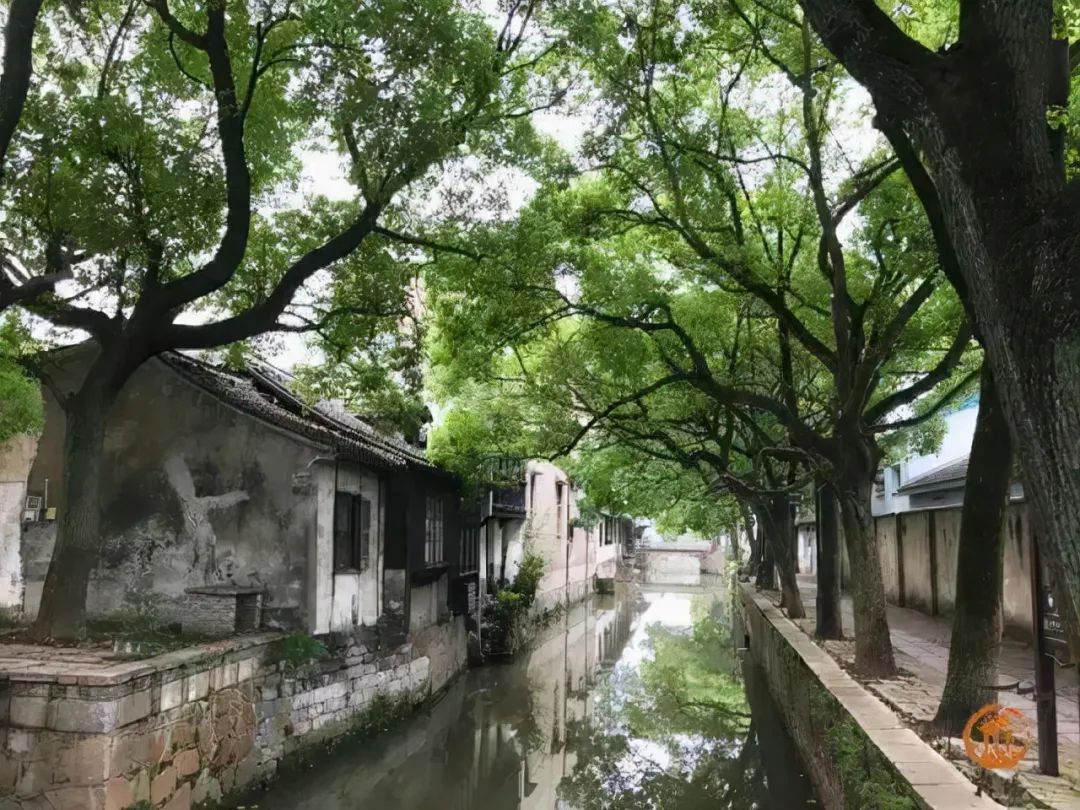 上海古镇十大必去景点旅游攻略,上海附近古镇旅游景点大全排名