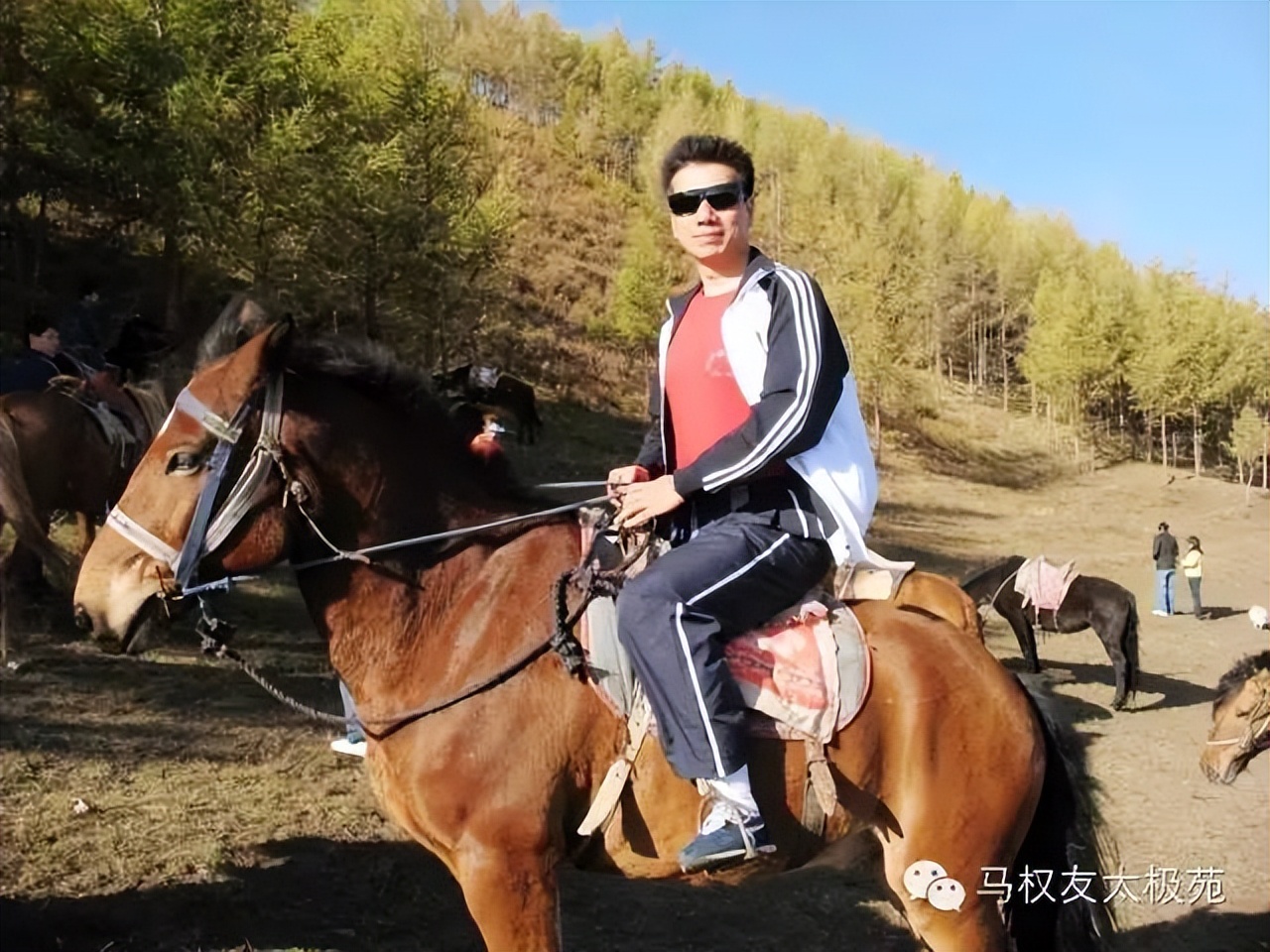 马权友陈氏太极二十四式背面,马权友讲太极内功