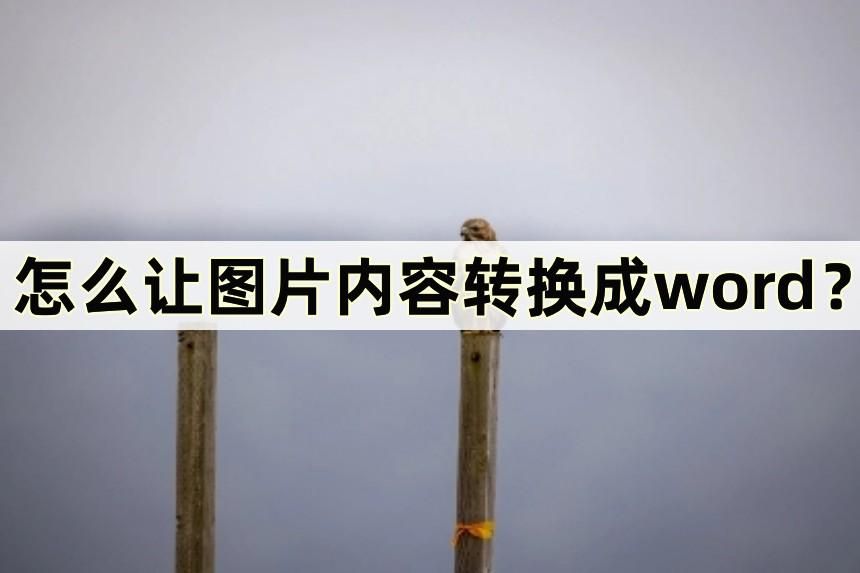 图片表格怎么转换成word电子版,扫描的图片怎么转换成word电子版