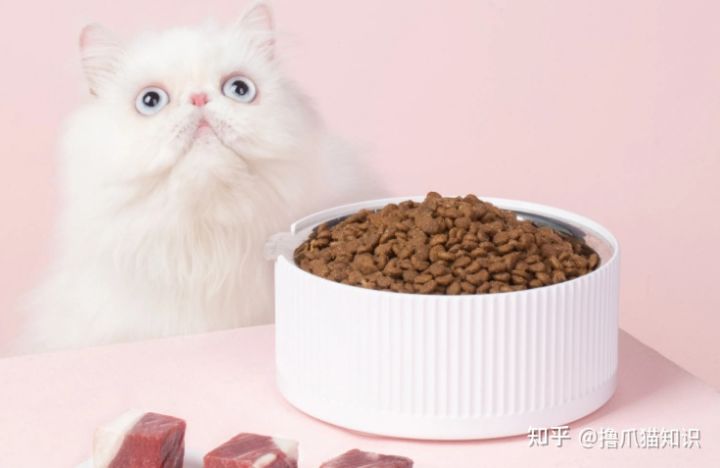 口碑公认好的国产猫粮排名前十,2023猫粮国内推荐性价比高排行榜