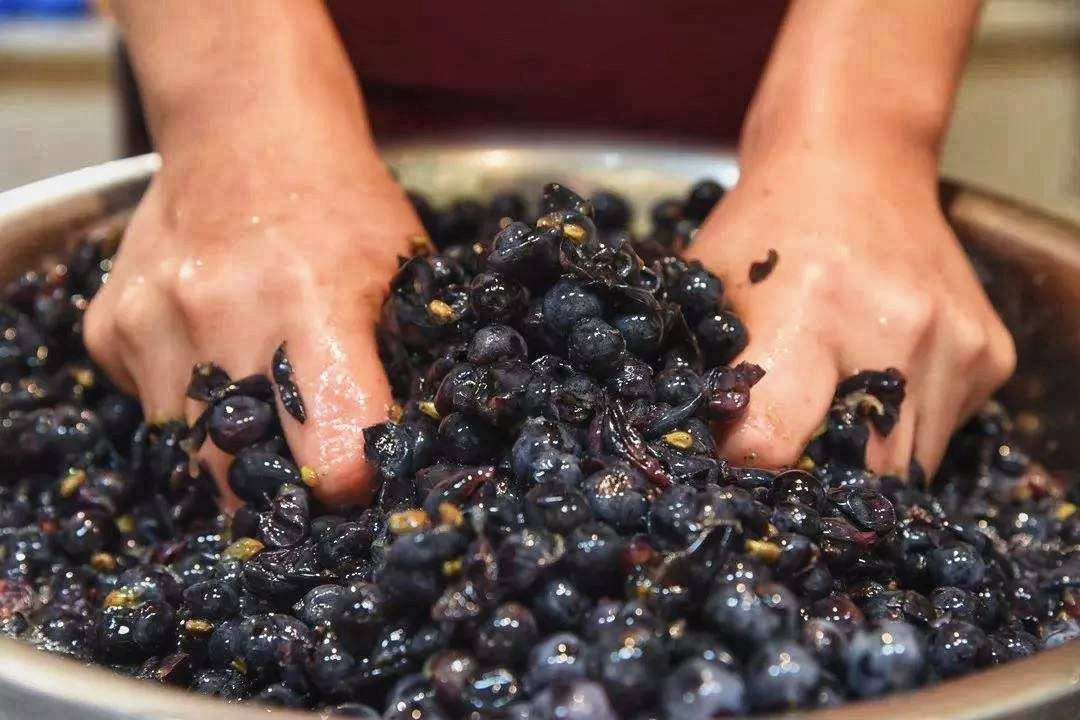 自酿葡萄酒有十年可以喝吗,自酿葡萄酒3年了能喝么