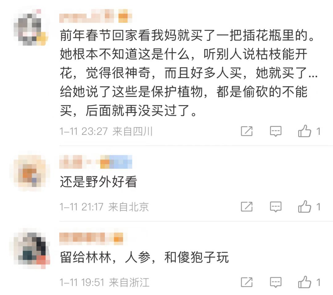 权威解读谣言粉碎机,谣言粉碎机