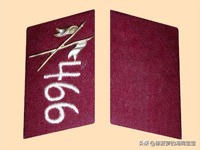 纳粹冲锋队用的什么枪,纳粹德军军衔图解