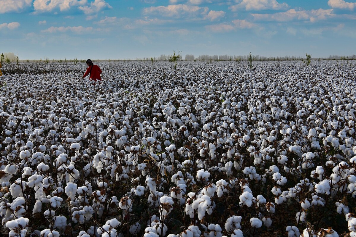 阿迪耐克已经变得不那么重要