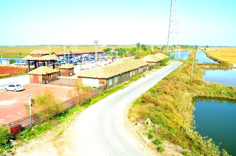 辽宁盘锦在哪个地方,去盘锦旅游哪里好