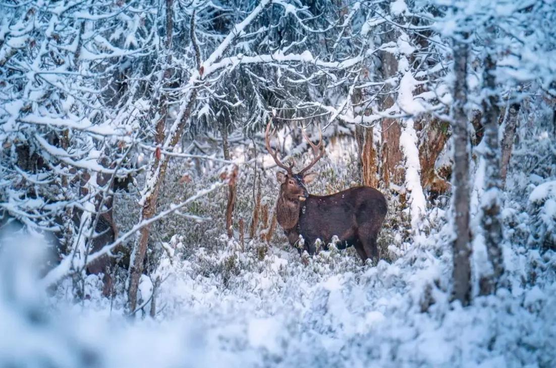 成都周边适合徒步的地方,成都徒步旅游免费景点