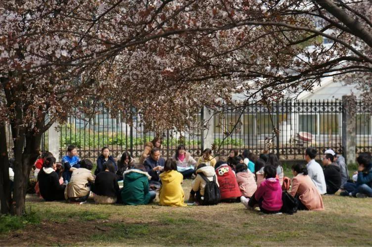 以为传销可以致富，没想到“偷鸡不成，还蚀把米”