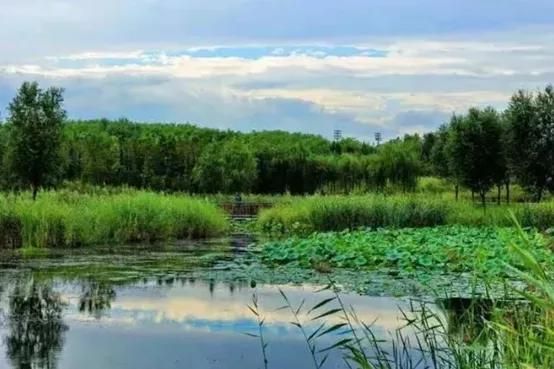 北京清明踏青旅游攻略,北京适合清明游玩的公园