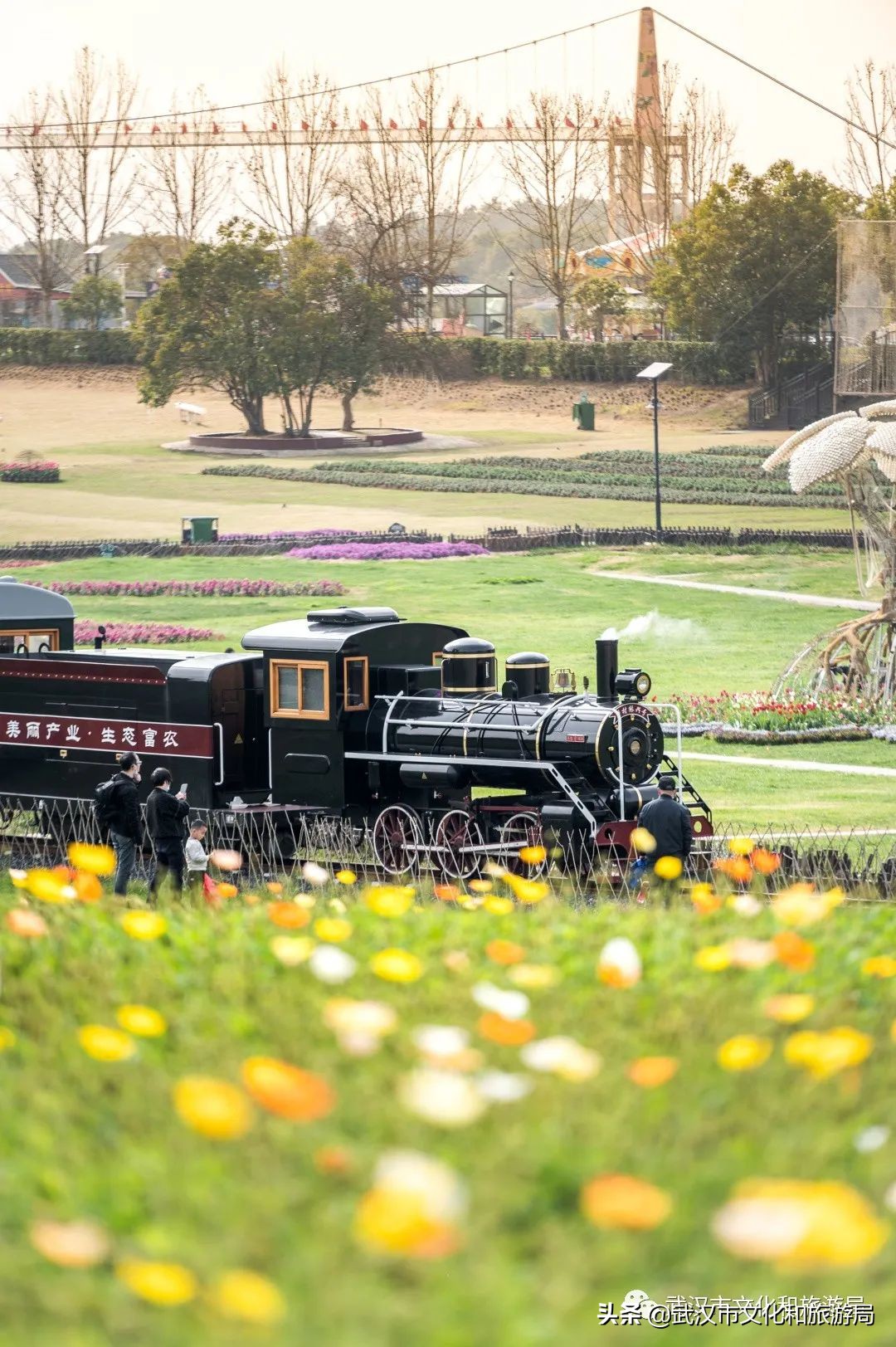 不出武汉旅游推荐,五一不出武汉三日游适合去哪里