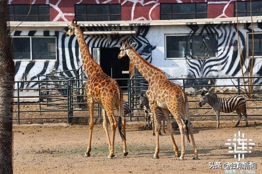 大连附近一日游旅游景点大全,大连哪里更好玩一日游景点