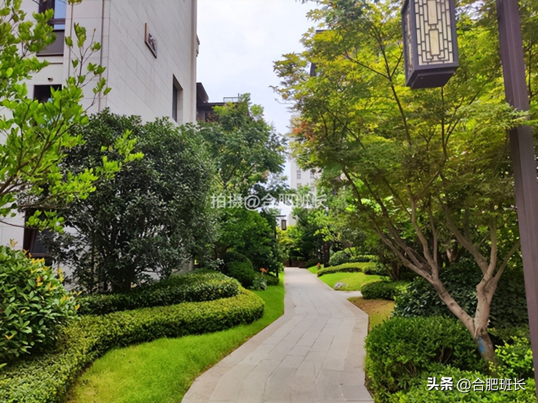 紧邻公园不如住在公园，实探以中式园林闻名的滨湖区葛洲坝紫郡府