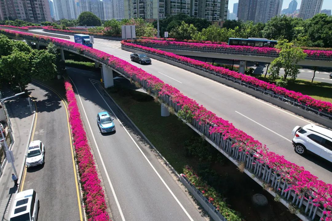 税务三个基本是指什么,税务三大误区是什么