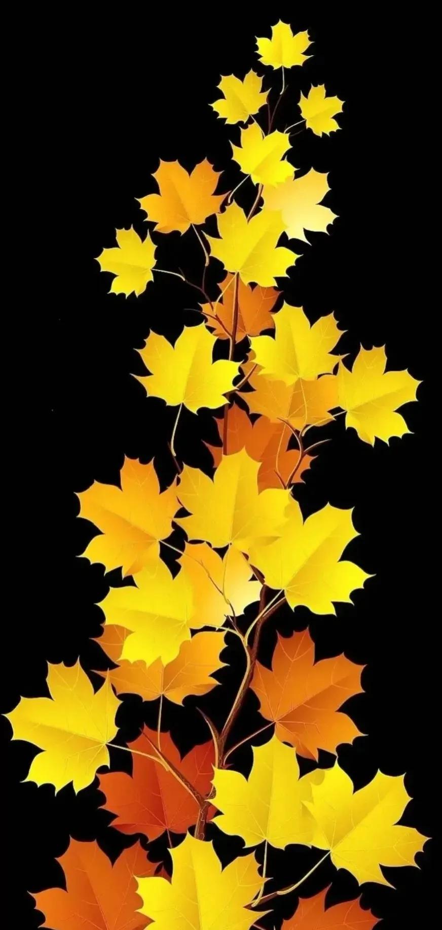 梦里花落知多少主角,梦里花落知多少小说在线阅读