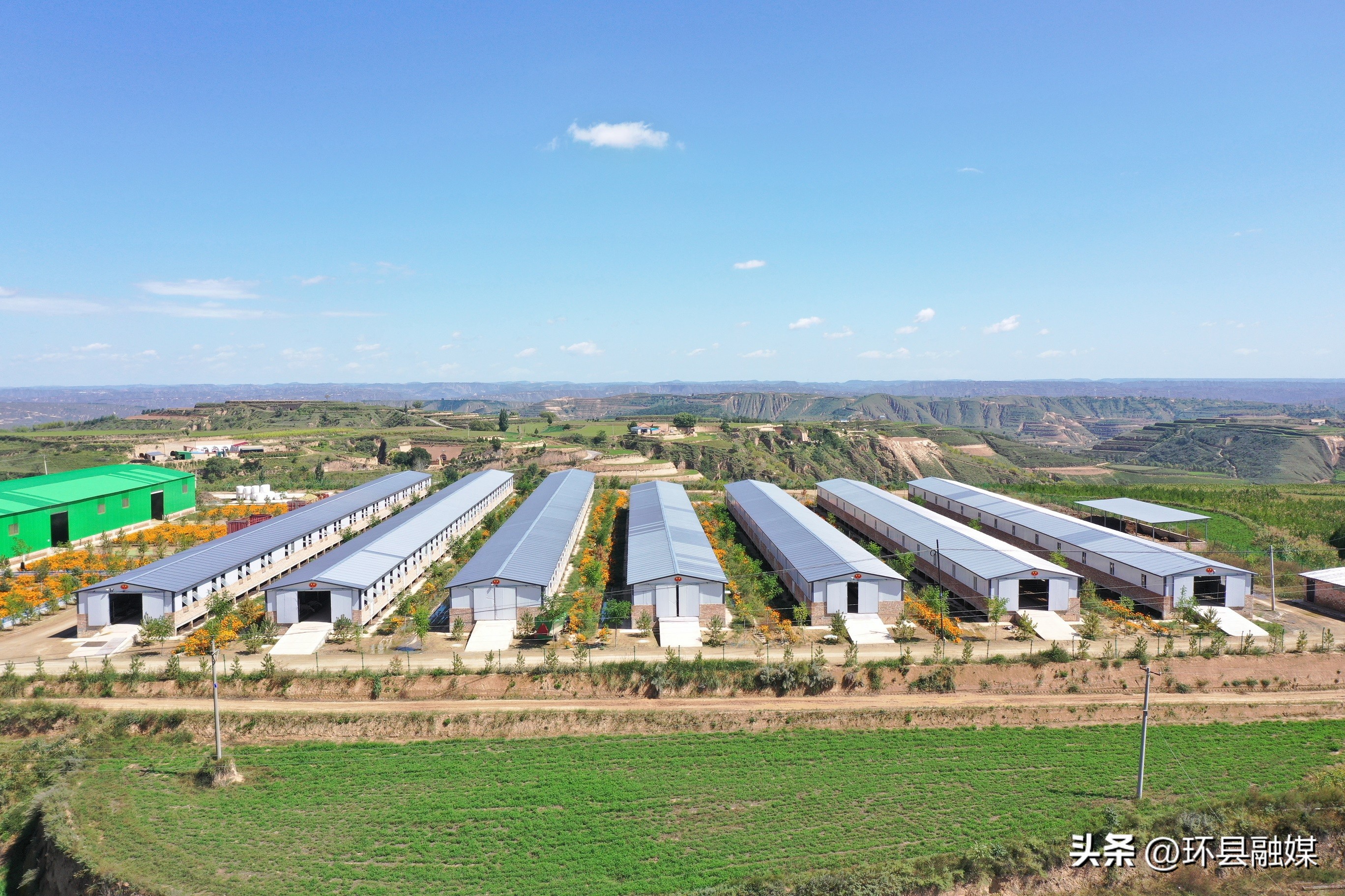 带动群众致富奔小康,容县强化党建引领助推产业发展