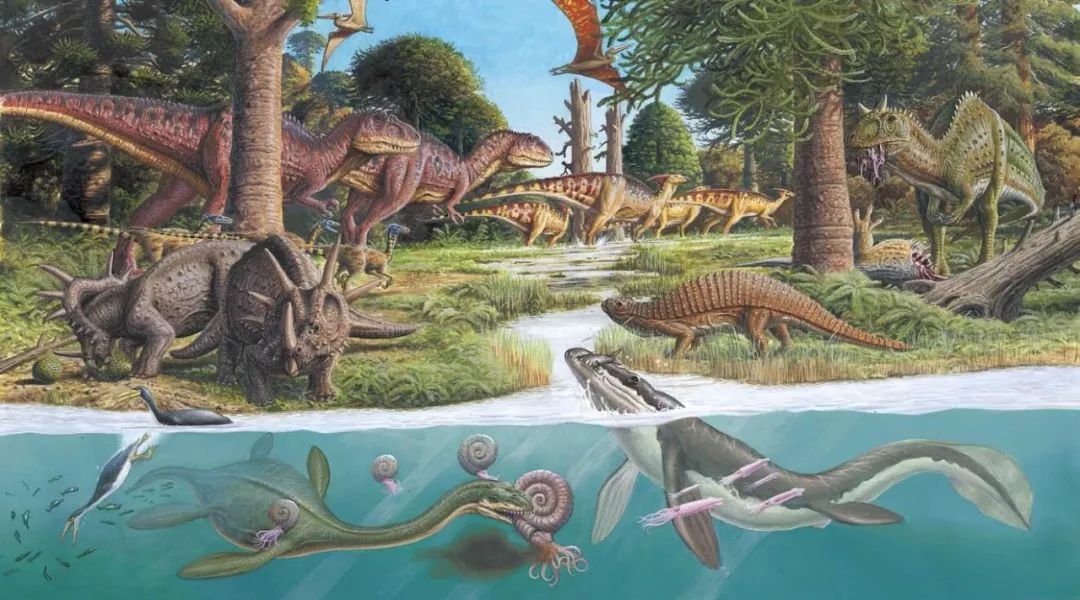 五种比霸王龙还厉害的恐龙,十种可以秒杀霸王龙的恐龙