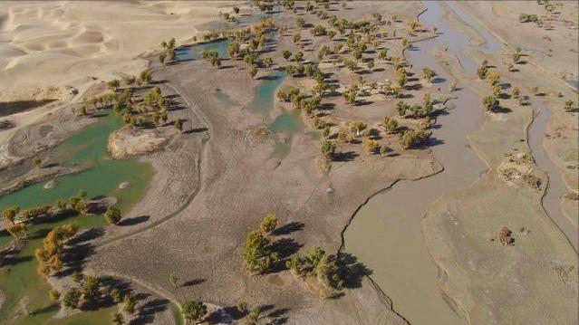 中粒砂岩地质特征描述,塔里木盆地地下地质结构