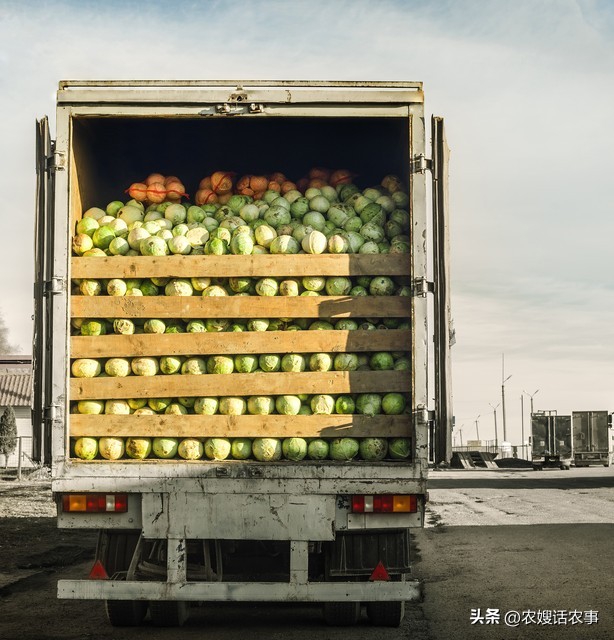 农村致富新方式，农产品上来淘金，3.8米龙卡更懂农民