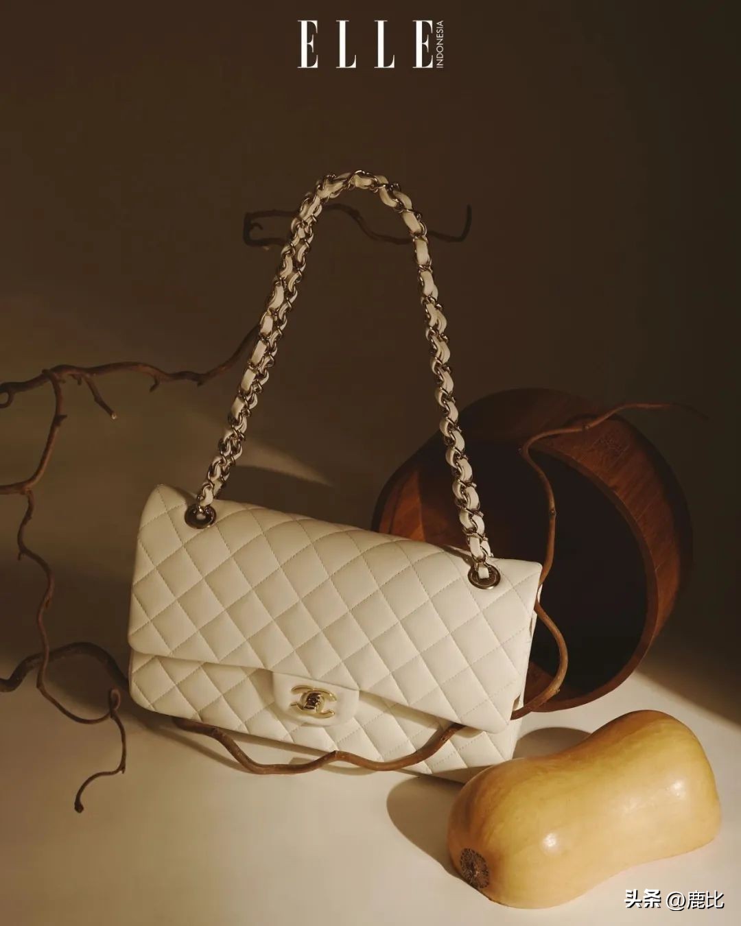 goyard单肩包评测 (goyard hobo包包男款)