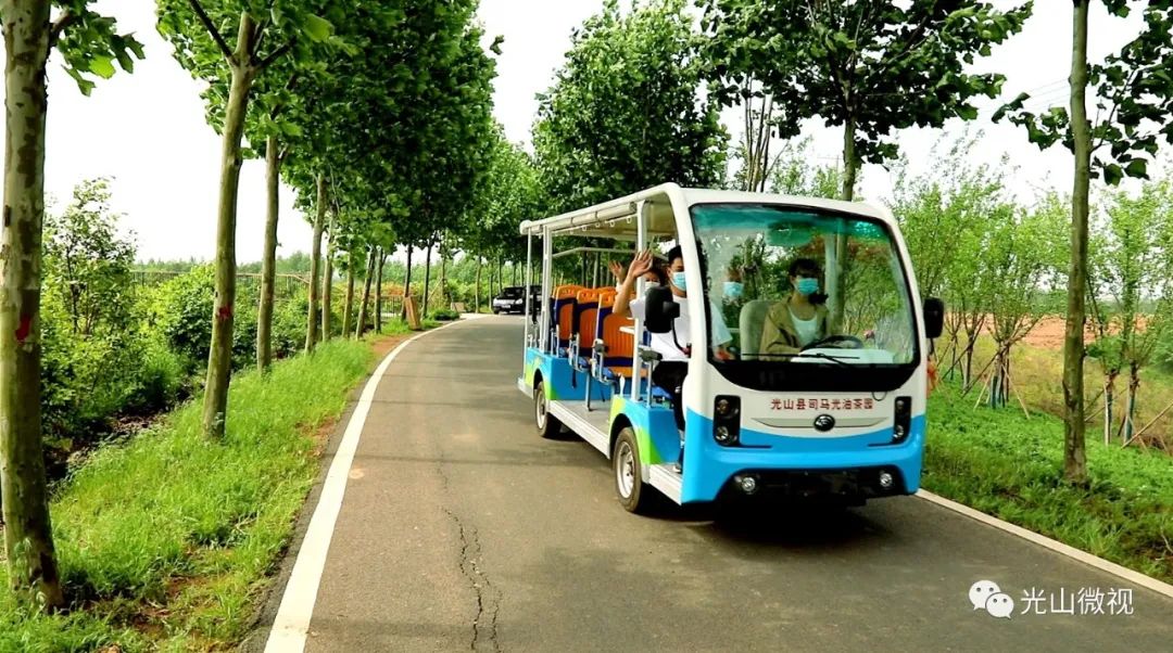 光山县司马光油茶园,河南光山司马光油茶园