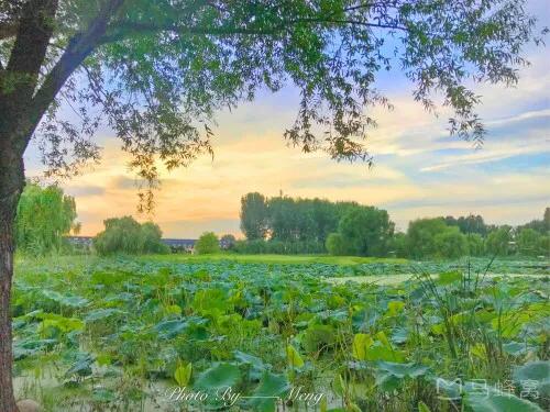 罗马旅游攻略北京,北京罗马湖美景