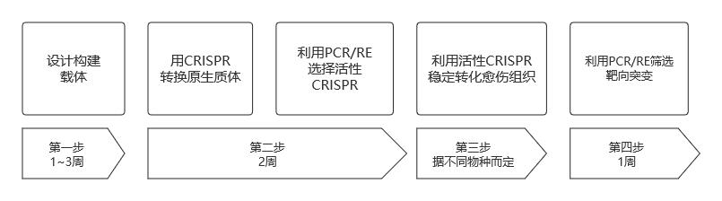 喂饱100亿人的技术，中国准备好了吗？