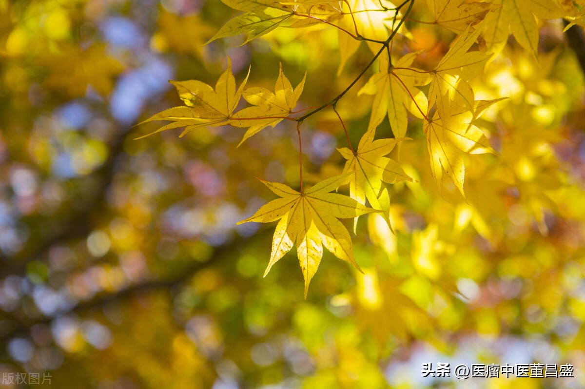 淋巴瘤病友康复励志故事,抗癌历程病友交流