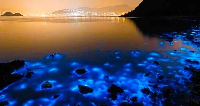 你不知道的国家冷知识牙买加,你不知道的冷知识牙买加