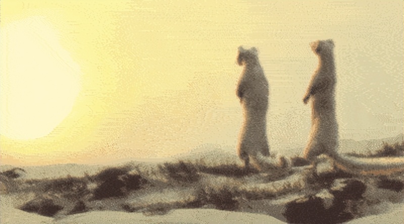 钓鱼佬被抢劫,湖北一钓友常被黄鼠狼“打劫”