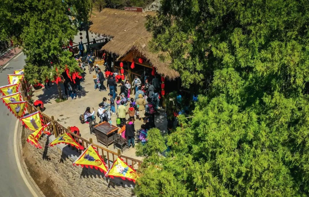 沂蒙乡村振兴学习感悟,乡村振兴看沂蒙专题