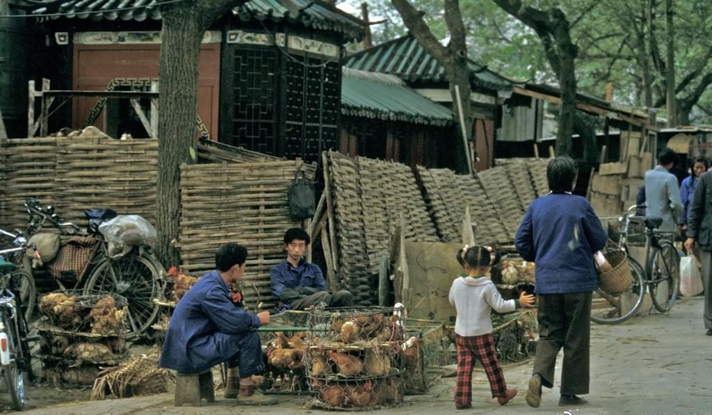 日军日记：男人饿倒在地，为了救他，我将他妻子的乳房割给他吃!