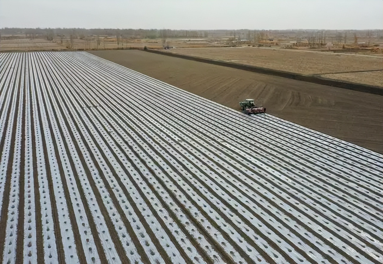 最有前景农业机械,发展前景好的新型农业项目