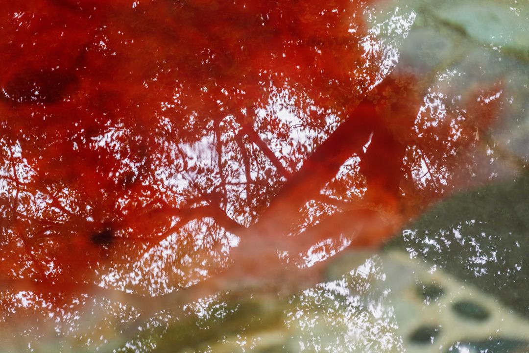 弥勒温泉山顶,弥勒高级温泉