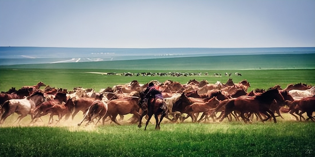 唐朝后期五代十国简介,唐朝与回鹘的绢马贸易