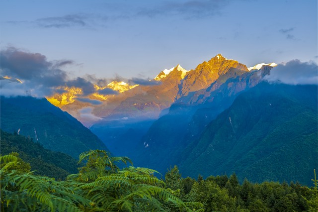 怎么辨别真的土蜂蜜和假的土蜂蜜,土蜂蜜100%纯蜂蜜怎么辨别真假